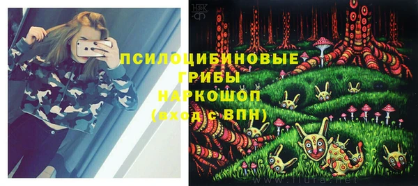спиды Алзамай
