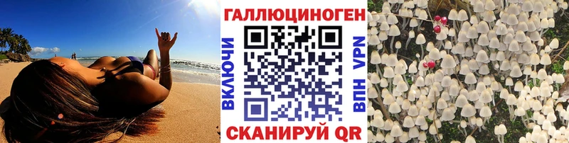 площадка официальный сайт  купить   Олонец  Галлюциногенные грибы мухоморы 